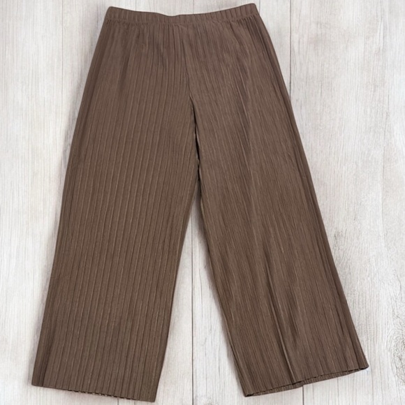 NWOT Bailey 44 Brown Pleated Wide-Leg Pants sz XL - Picture 3 of 8